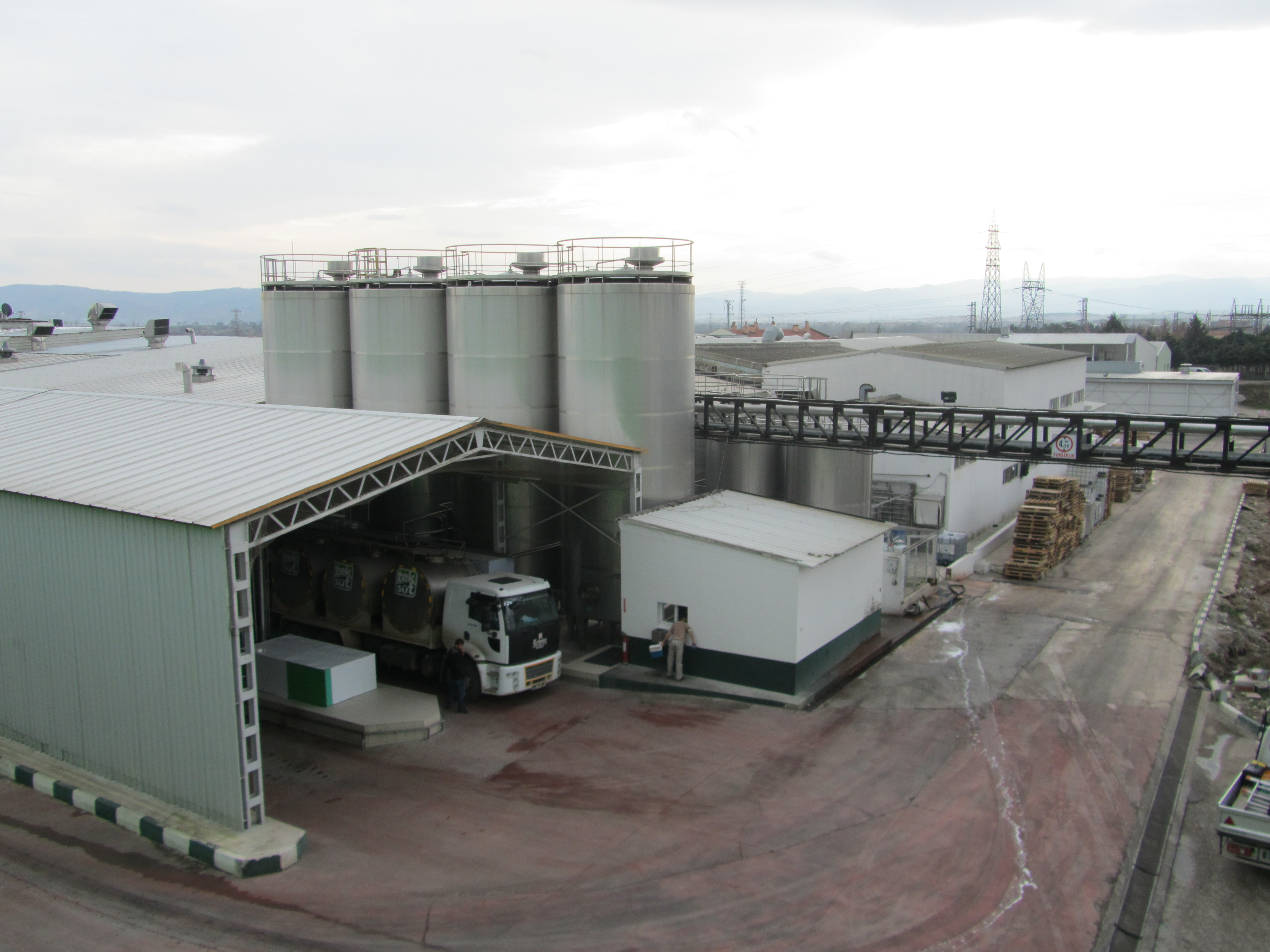 Tek-Süt Fabrika
